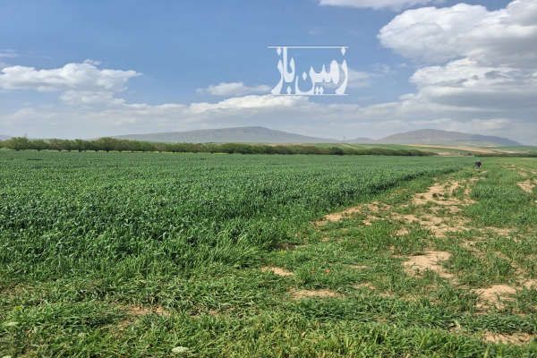 زمین کشاورزی ۸ هکتار جاده بیستون سنقر روستای شیر خان-4