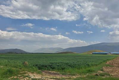 زمین کشاورزی ۸ هکتار جاده بیستون سنقر روستای شیر خان