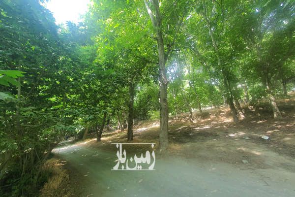 باغ گردو نزدیک رودخانه زاینده رود ۳۰۰ متر-1