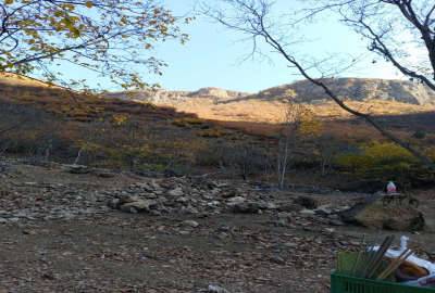 فروش زمین مسکونی درکجور روستای منجیر ۲۵۰ متر