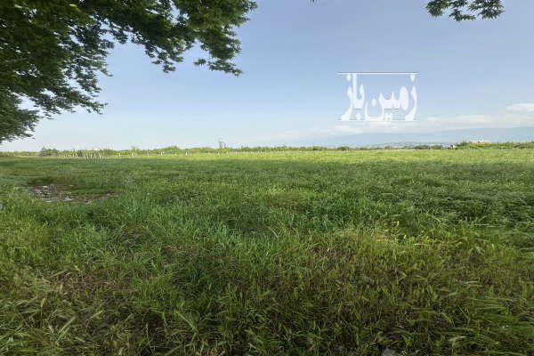 یک قواره زمین ۱۶۵۰ متر فروشی یا معاوضه-2