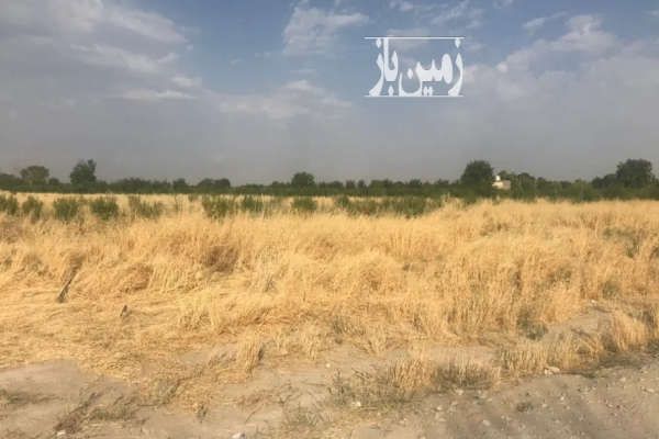 زمین کشاورزی ۳۰۰۰۰ متر گل تپه کبیر-1