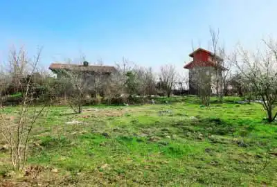 زمین ۸۳۰ متر بر آسفالت روستای شاهخال