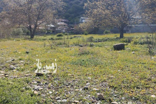 فروش زمین مسکونی ۳۰۰ متر روستای حسین آباد-2