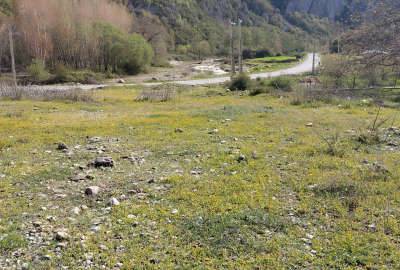 فروش زمین مسکونی ۳۰۰ متر روستای حسین آباد