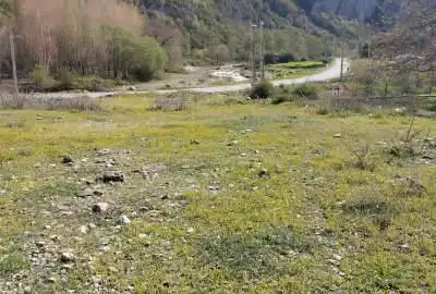 فروش زمین مسکونی ۳۰۰ متر روستای حسین آباد