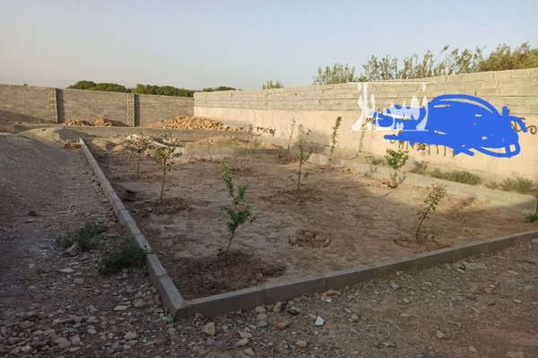 فروش ۶۰۰ متر زمین در دهک صفادشت-1
