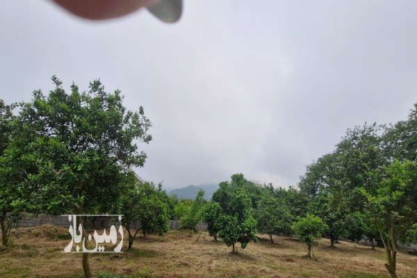 زمین در۵ کیلومتری تنکابن بادیدعالی جنگل ودریا محدوده طالش محله-1
