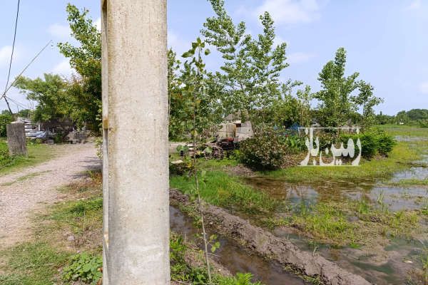 زمین و خانه کلنگی با شالیزار وباغ ۱۱۰۰۰ متر-2