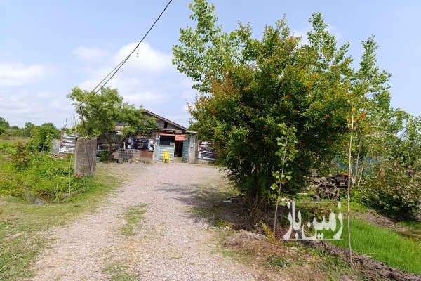 زمین و خانه کلنگی با شالیزار وباغ ۱۱۰۰۰ متر-4