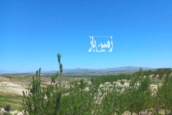 فروش زمین باغ سی کیلومتری شیراز جاده هفت برم ۲۴۰۰ متر-2