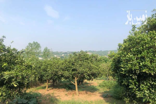فروش زمین با ویو ابدی وسطی کلا ۲۰۰۰ متر-4