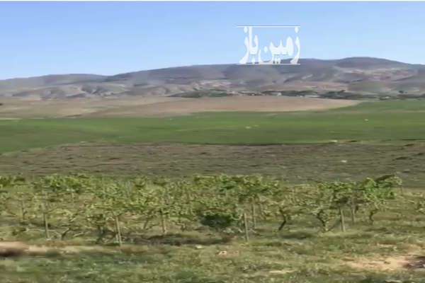 فروش زمین کشاورزی دیمی در دو قطعه ۷۳۰۰۰۰ متر-3