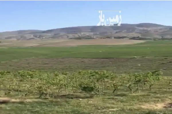 فروش زمین کشاورزی دیمی در دو قطعه ۷۳۰۰۰۰ متر - تصویر 3
