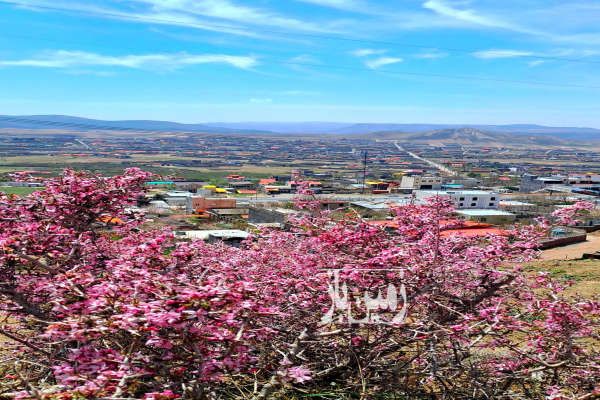 زمین مسکونی داخل بافت روستای سیداباد ۳۰۰ متر-2