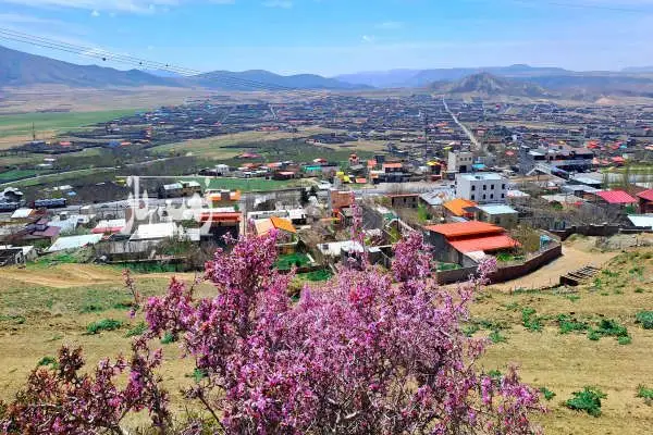 زمین داخل بافت مسکونی سیداباد ۳۰۰ متر - تصویر 2