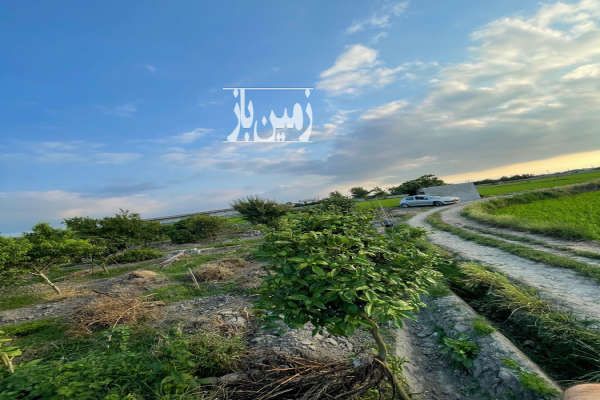 زمین باغ در آمل روستای آبسرفت-4