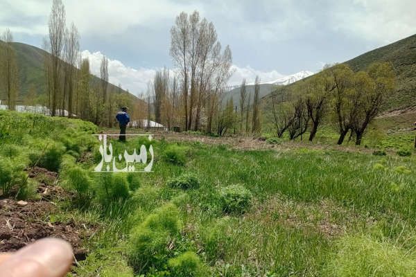فروش زمین داخل بافت روستای آزاربر جاده چالوس-1