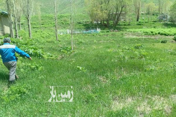 فروش زمین داخل بافت روستای آزاربر جاده چالوس-2