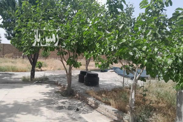 فروش باغ با امکانات در مشهد جاده کاهو-3