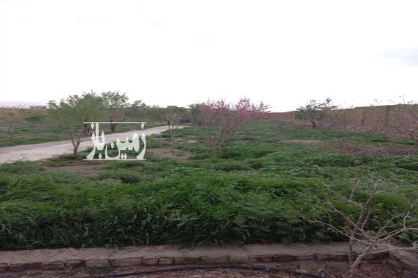 فروش باغ با امکانات در مشهد جاده کاهو-4