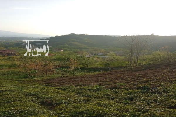 زمین کشاورزی واقع روستای علیسرود ۲۲۰۰ متر-2