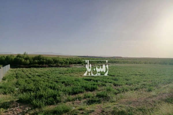 زمین کشاورزی در وردشت روستای حیدر آباد-1