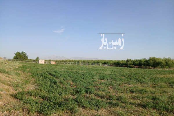 زمین کشاورزی در وردشت روستای حیدر آباد-2