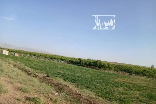 زمین کشاورزی در وردشت روستای حیدر آباد - تصویر 3