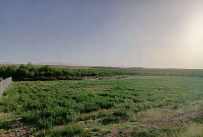 زمین کشاورزی در وردشت روستای حیدر آباد