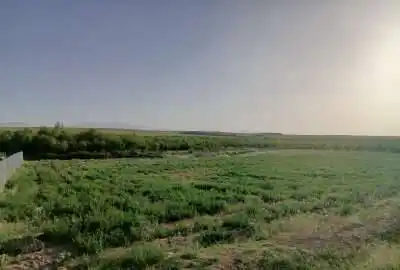 زمین کشاورزی در وردشت روستای حیدر آباد