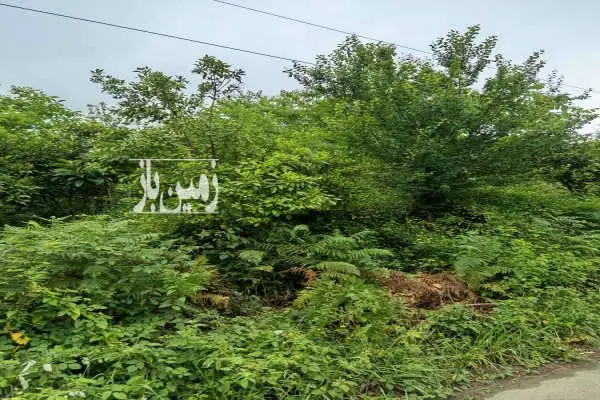 زمین مناسب ساخت ۴۰۰ متری در اطاقور - تصویر 2
