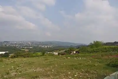 زمین جاده نظامی با متراژ دلخواه و سرمایه گذاری آینده دار