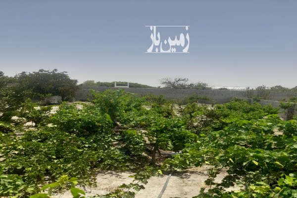 باغچه ۵۰۰ متری در فرارت روستای رنک رز-1