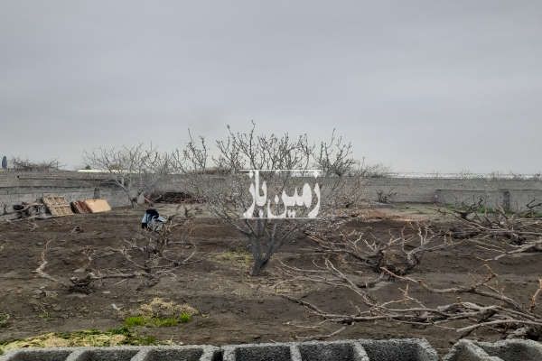 باغچه ۵۰۰ متری در فرارت روستای رنک رز-4