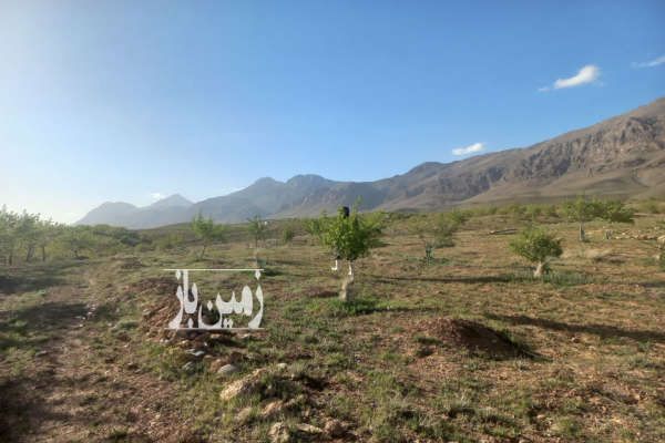 فروش باغ بادام ۲۲۰۰ متر اصفهان چادگان روستای معروف اباد-1