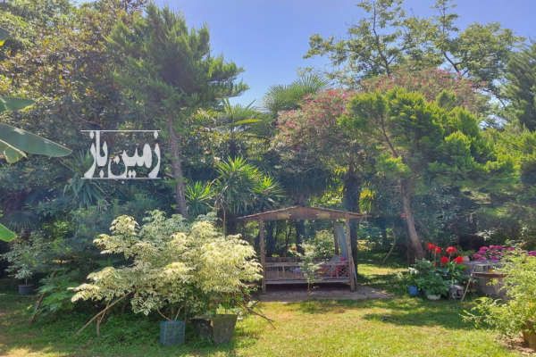 ماسال ۱۰۰۰ متر زمین سند تکبرگ مسکونی با کلیه امتیازات-1