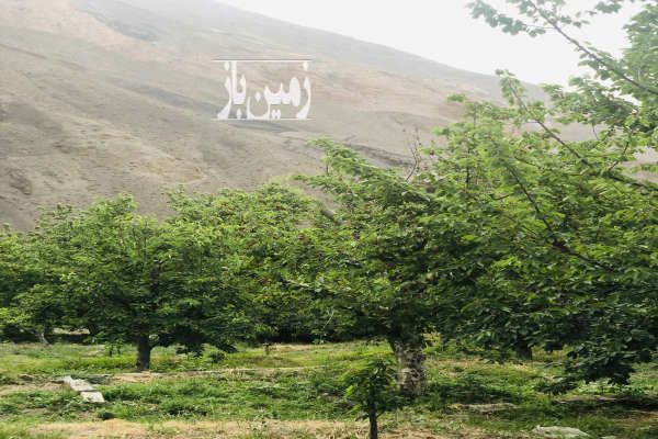 دو قطعه زمین ییلاقی منطقه لاریجان ۳۰۰ متر-2