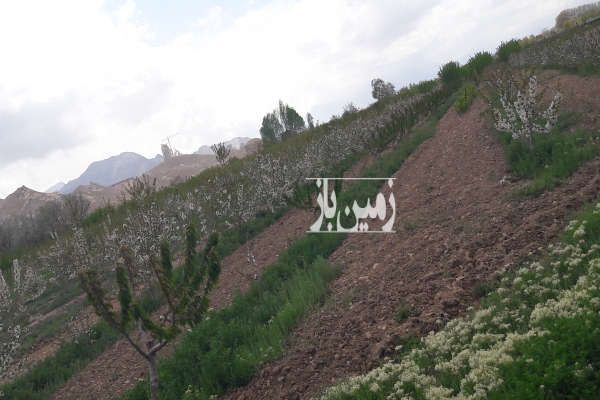 فروش زمین شاهرود جاده امیریه روستای امیریه ۵۰۰۰ متر-1