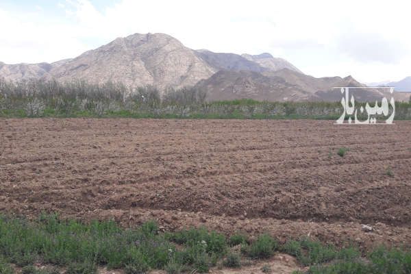 فروش زمین شاهرود جاده امیریه روستای امیریه ۵۰۰۰ متر-2