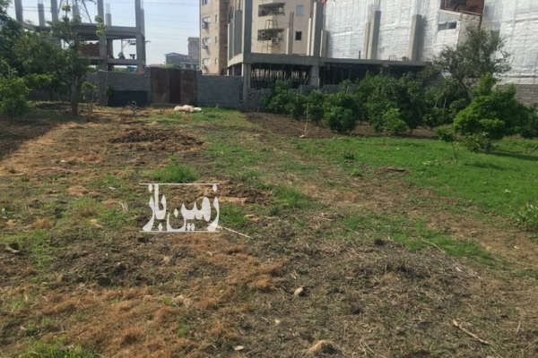 زمین با بر ۱۷ متر در اخلاص ۵ قائمشهر ۳۰۰ متر-3