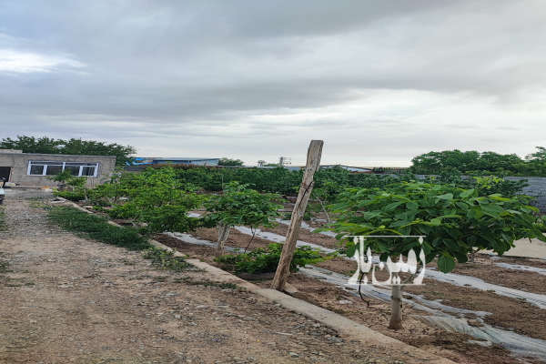 باغچه چهاردیواری صفادشت حسین آباد ۶۵۰ متر-1