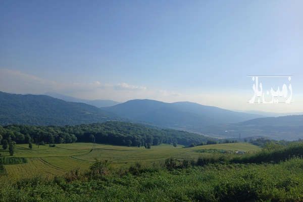 فروش زمین غیر بافت ۱۰۰۰متر روستای ورند-4