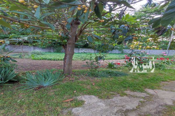 فروش زمین مسکونی باسند تک برگ ۱۵۷۰ متر-1