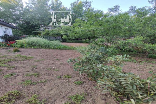 فروش زمین مسکونی باسند تک برگ ۱۵۷۰ متر-4