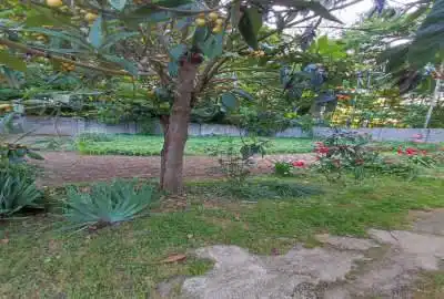 فروش زمین مسکونی باسند تک برگ ۱۵۷۰ متر