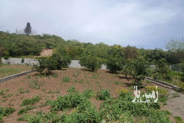 زمین روستای شیردارکلا ولایت۵ بالای تپه کنار ۲۰۰ متر-2