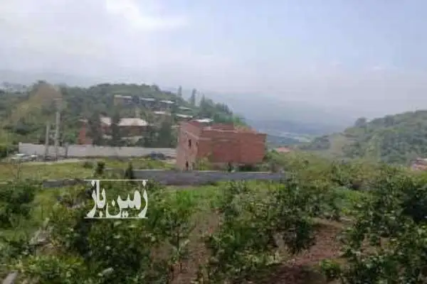 زمین روستای شیردارکلا ولایت۵ بالای تپه کنار ۲۰۰ متر - تصویر 4