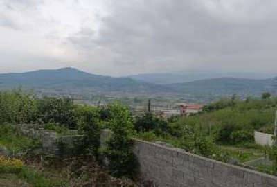زمین روستای شیردارکلا ولایت۵ بالای تپه کنار ۲۰۰ متر