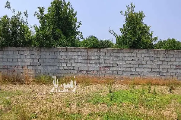 زمین جاده ی بابلسر بهنمیر روستای تازه آباد ۱۰۰ متر - تصویر 2